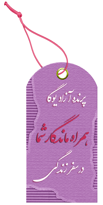 شهریه کلاس یوگا, یوگا, صلح جهانی, یوگاکرج, یوگا گرج, یوگا عظیمیه کرج, کلاس یوگا, باشگاه یوگا ,Yoga, International, یوگا برای بانوان, باشگاه یوگا پرنده آزاد یوگا, yoga, meditation, مدیتیشن, یوگا استان البرز, یوگا کرج, یوگاالبرز, باشگاه یوگا, باشگاه, یوگا بانوان, یوگا عظیمیه, یوگا جهانشهر, یوگا مهرشهر, یوگا گوهردشت, یوگای خوب, یوگا البرز, باشگاه برتر کرج, باشگاه برگزیده البرز